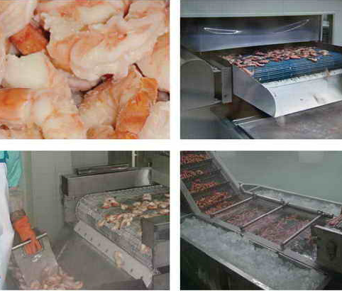 BĂNG CHUYỀN CHẾ BIẾN TÔM IQF